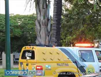 Homem é preso na praça Amadeo Piovesan em Palotina - CORREIO DO AR