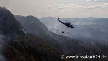 Waldbrand in Sächsischer Schweiz: Lage „unverändert angespannt“ - Hunderte Einsatzkräfte vor Ort