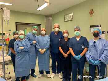 Robot Da Vinci per intervento urologico a Perugia - Agenzia ANSA