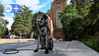 Stralsund: Wie empfängt die Hansestadt in MV Reisende mit Hund? - Ostsee Zeitung