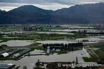 Ranking atmospheric rivers premature, says Environment Canada, months after B.C. vow - Chilliwack Progress