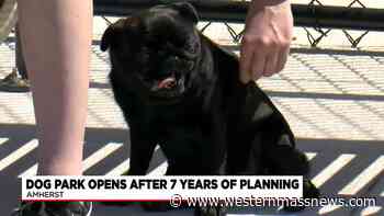 Amherst officials celebrate opening of new dog park - Western Massachusetts News