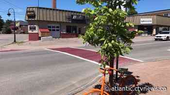 Amherst hosts Christmas in July event - CTV News Atlantic