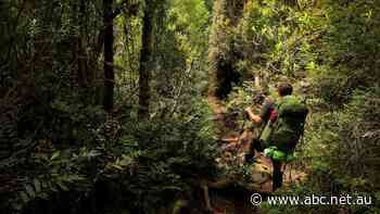 Tasmanian government and UNESCO 'seemingly at odds over national park development'