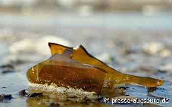 Festnahme | Randalierer schlägt in Bobingen auf parkende Autos ein | Presse Augsburg - Presse Augsburg