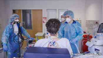 Coronavirus in Germany: Infection and death rates explode during summer months - WSWS