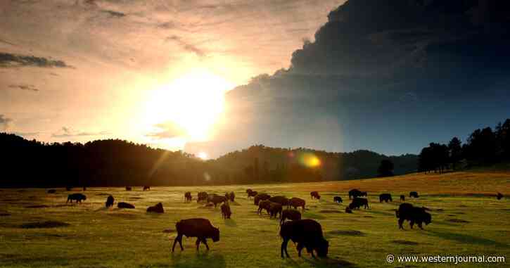 Billionaire-Funded Eco Group Quietly Acquires Farmland in Rural America for Sinister Plan, Aided by Feds