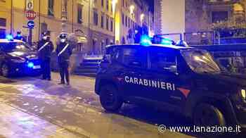 Denunciate 4 persone dai Carabinieri di Bibbiena - LA NAZIONE