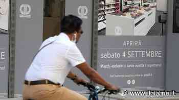 Saracinesca selvaggia in centro E l’elettricista diventa social - IL GIORNO