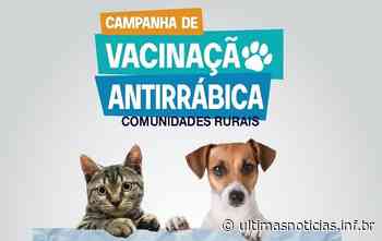 Vacinação de cães e gatos começa na próxima segunda-feira em Formiga - Últimas Notícias - Últimas Notícias - Notícias ...