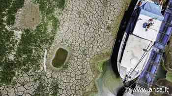 'Il grande fiume non esiste più'. Nel Po cuneo salino di 40 km - Agenzia ANSA