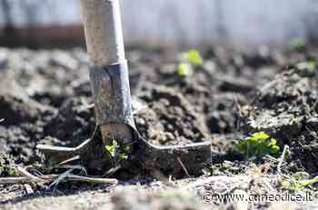 Coldiretti Cuneo: ˝Stop al consumo di suolo fertile˝ - Cuneodice.it