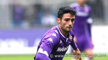 TMW - Fiorentina, per Ferrarini si muove l'Hellas Verona. In Serie B c'è l'interesse del Brescia - TUTTO mercato WEB