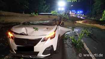Iserlohn: Baum kracht auf fahrendes Auto - Wagen komplett zerstört - RTL Online
