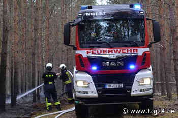 Serie von Brandstiftungen: Wald, Auto und Schule in Ostsachsen angezündet! - TAG24