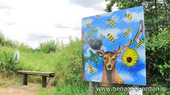 Beautiful Birdhill: Art with nature trail success - Nenagh Guardian