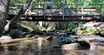 Hitting the midpoint of the Appalachian trail, the easy way [column] - LNP | LancasterOnline