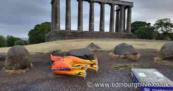 Edinburgh Zoo giraffe removed from trail after being ripped from concrete stand - Edinburgh Live