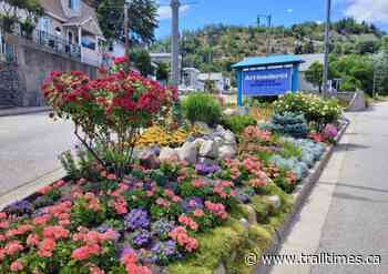 Beautiful beds in bloom around Trail - Trail Times