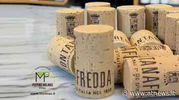 Sugherificio Molinas tra i partner green del Rinascimento Verde di Fontanafredda - ATNews