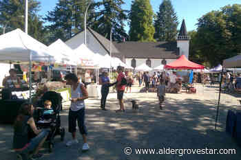 It was so hot Saturday, the Fort Langley farmers market closed early - Aldergrove Star