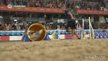 Wereldtop agility strijkt neer in Oudsbergen - TV Limburg