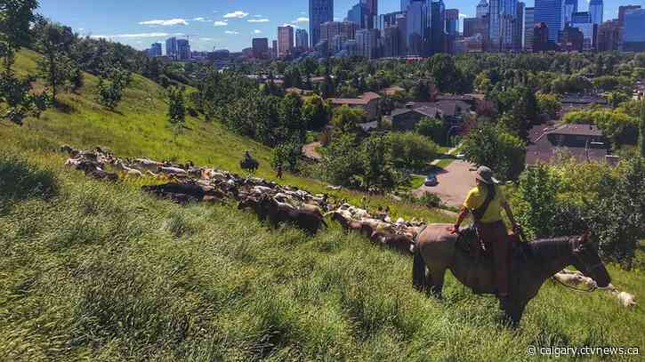 McHugh Bluff slope closures expected to be long-term