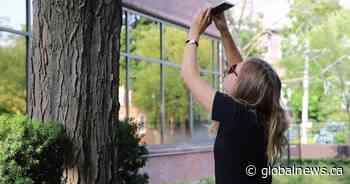 Cross-country event: Snap photos of plants, wildlife for largest crowd-sourced inventory