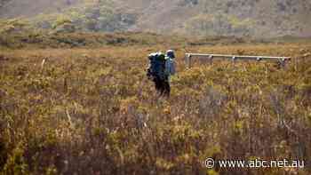 Tasmanian government accused of ignoring UNESCO plea over development in World Heritage Areas