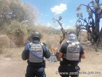 En acciones coordinadas, desmantelan campamento de la delincuencia en Ojocaliente - Gobierno del Estado de Zacatecas
