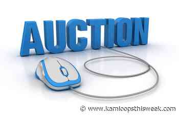 Kamloops auction to feature bikes, tools, electronics and more - Kamloops This Week