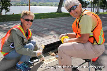 Yellow fish back at Osoyoos storm drains - Penticton Western News