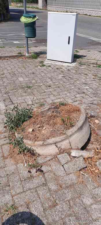 «Serve più cura»: Progetto per Gorla + viva invoca il decoro - Prima Saronno