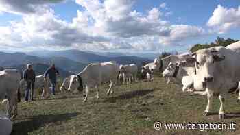 Montagna pulita: alla festa della Madonna della neve di Boves si presenta il docufilm di Giovanni Bianco - TargatoCn.it