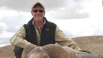 A US dentist is accused of killing his wife on safari. He says she accidentally discharged the gun