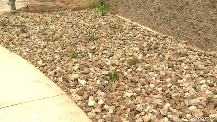 Landscape businesses take a hit during intense heat, drought