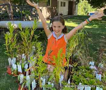 Orillia girl, 8, seeks help to save monarch butterflies - BarrieToday