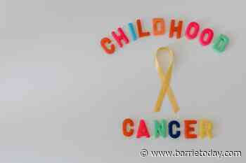 Group selling lawn signs to raise money for children with cancer - BarrieToday