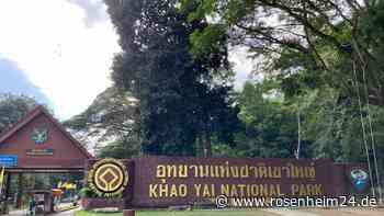Wasserfall in Thailand nach Tod von Elefanten gesperrt