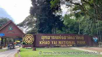 Wasserfall in Thailand nach Tod von Elefanten gesperrt
