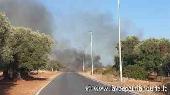 Violento incendio intorno a Urmo-Belsito nelle vicinanze del depuratore di Manduria Sava - La Voce di Manduria