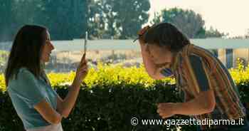 I nostri voti ai film: vince Licorice Pizza - Gazzetta di Parma