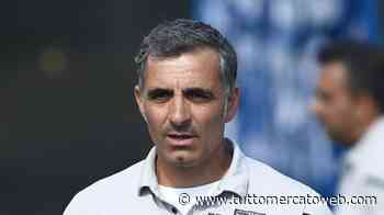 Parma, Pecchia: "La strada è quella giusta, dalla settimana prossima si inizia a fare sul serio" - TUTTO mercato WEB