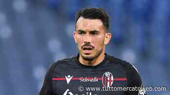 Parma, nuovi nomi per rinforzare l'attacco: Sansone del Bologna e Di Mariano del Lecce - TUTTO mercato WEB