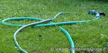 CHIVASSO - Spreco di acqua in città: giardini irrigati nonostante la siccità - VIDEO - QC QuotidianoCanavese