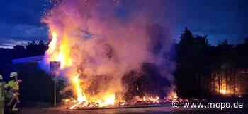 Im Norden: Heckenbrand breitet sich rasant aus – Feuerwehr verhindert Schlimmeres - Mopo.de