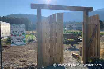 Here’s the latest on the Squamish School Farm - Squamish Chief