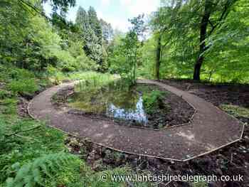Friends of Sunnyhurst Woods thank Lancashire Telegraph for funding