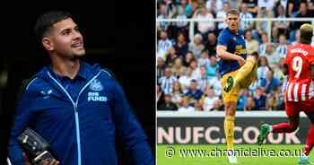 Bruno Guimaraes' new role, Sven Botman question and Newcastle United midfield decision - 5 things - Chronicle Live