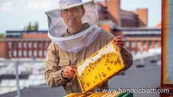 Siemensstadt: „Bio-Drohnen“ über dem Werk: So will Siemens die Zukunft in Berlin bauen